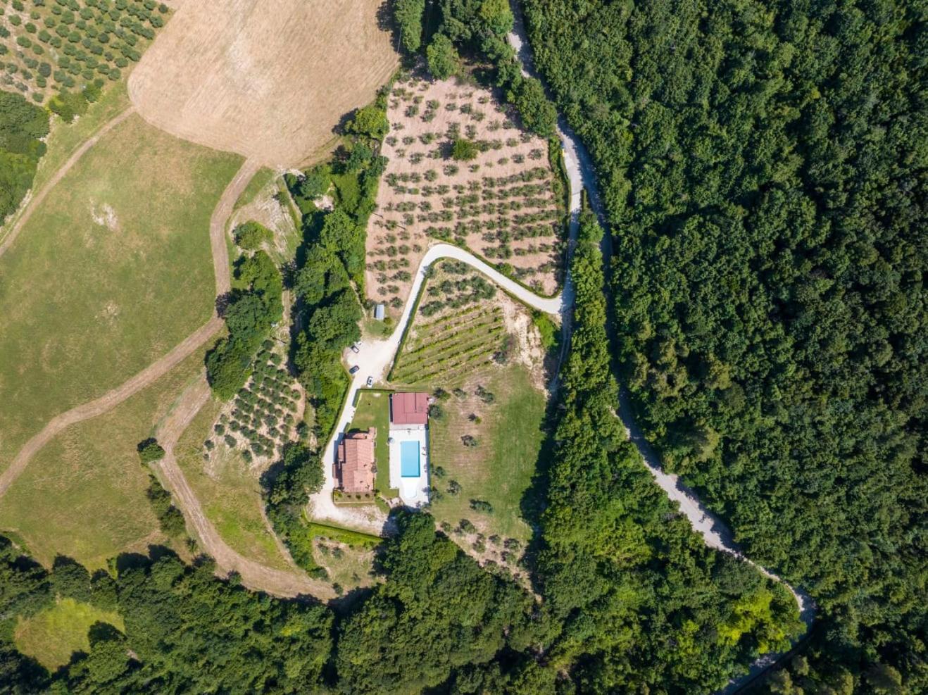 Agriturismo Isola Verde SantʼUrbano Εξωτερικό φωτογραφία