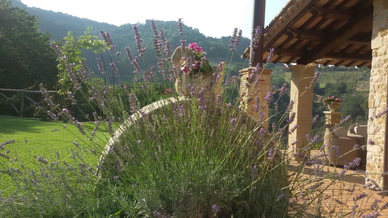 Agriturismo Isola Verde SantʼUrbano Εξωτερικό φωτογραφία