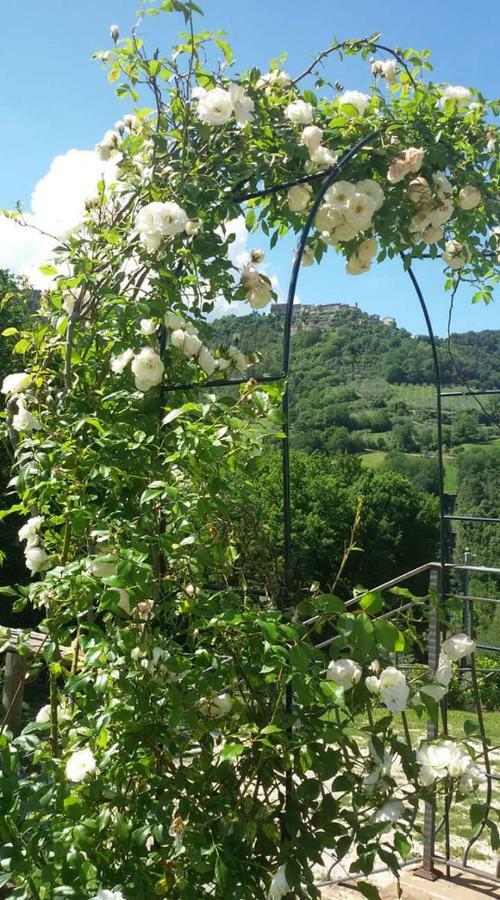 Agriturismo Isola Verde SantʼUrbano Εξωτερικό φωτογραφία