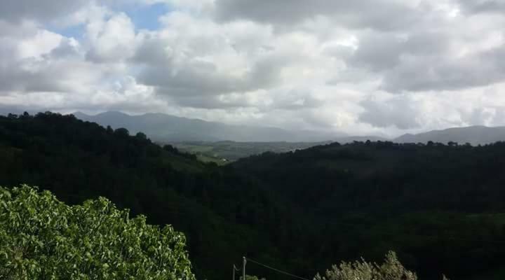 Agriturismo Isola Verde SantʼUrbano Εξωτερικό φωτογραφία