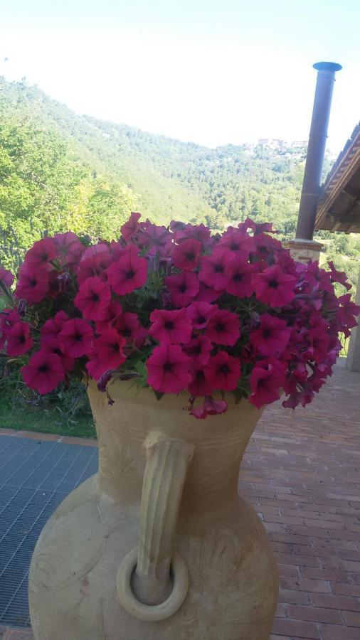 Agriturismo Isola Verde SantʼUrbano Εξωτερικό φωτογραφία